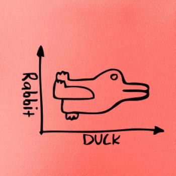 Duck Rabbit