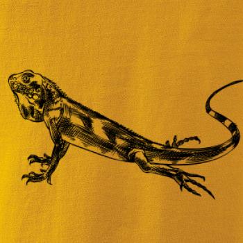 Ceruzkou kreslený Leguán