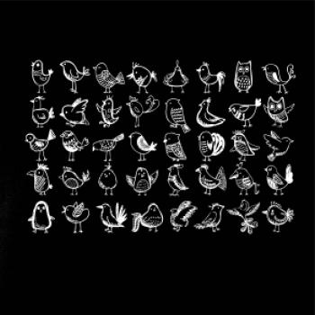 Veľa vtákov Veľa vtákov