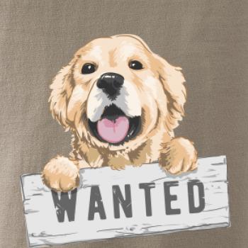 Zlatý retriever - šteniatko wanted Zlatý retriever - šteniatko wanted