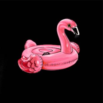 Nafukovacie plameniak