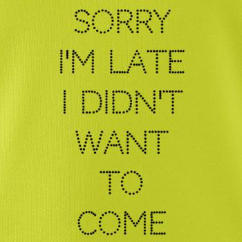 Sorry I am late i didn't want to come