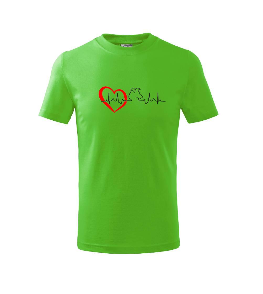 Borderská kólia EKG Borderská kólia EKG