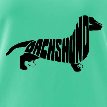 Jazvečík - Dachshund Jazvečík - Dachshund