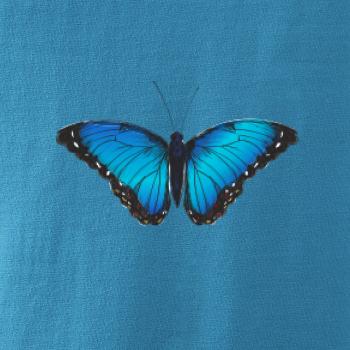 Motýľ Babôčka Morpho Peleides