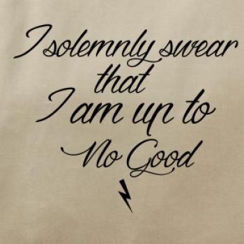 I solemnly swear that I'm up to no good