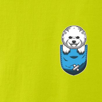 Bišónik v kapsičke