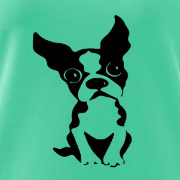 Bostonský teriér Bostonský teriér