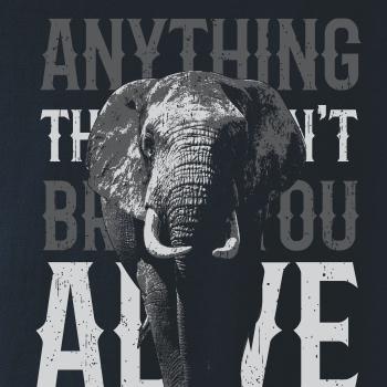 Elephant toosmall