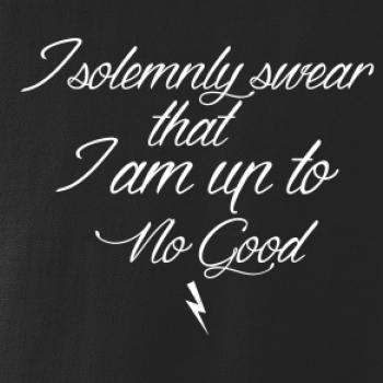 I solemnly swear that I'm up to no good I solemnly swear that I'm up to no good