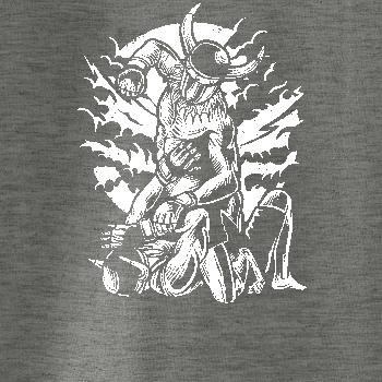 Viking MMA Fighter