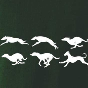 Chrt Pohyb Chrt Pohyb