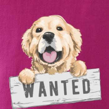 Zlatý retriever - šteniatko wanted