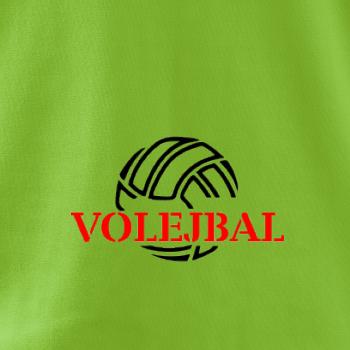 Volejbal lopta