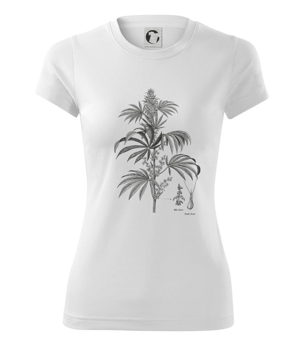 Konope kvietok čiernobiely   Konope kvietok čiernobiely