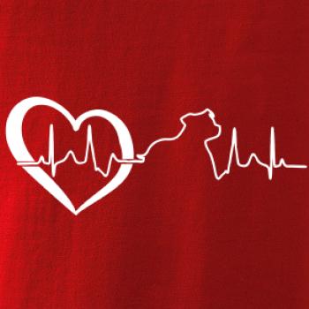 Stafordšírsky bulteriér  EKG Stafordšírsky bulteriér  EKG