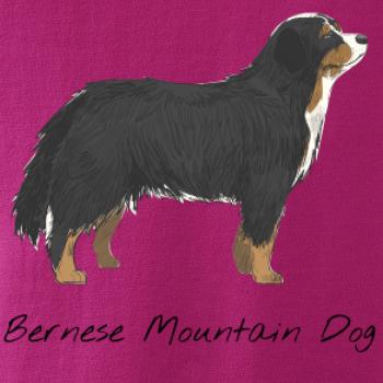 Bernese mountain dog kreslený