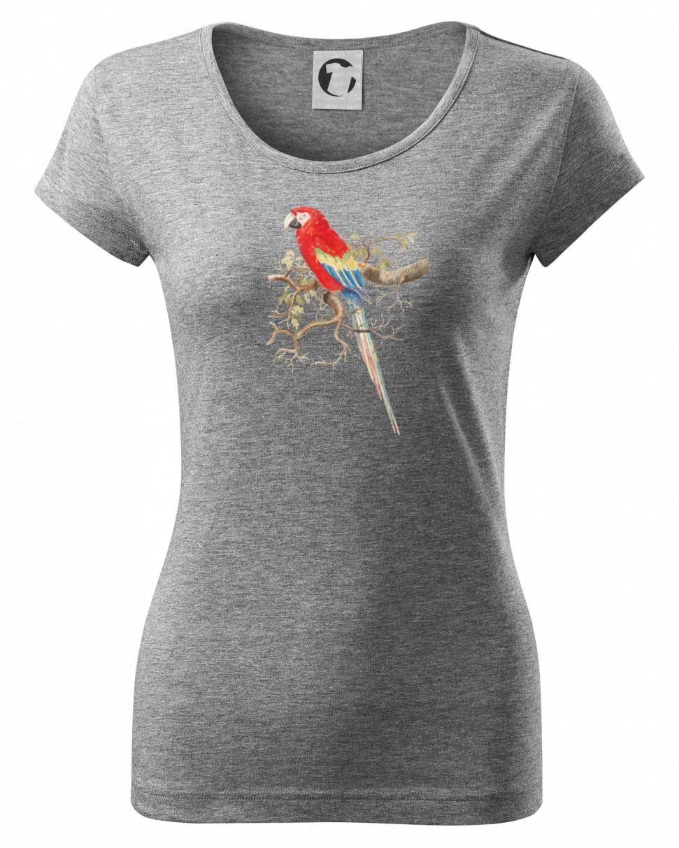 Papagáj  na listnatom strome Papagáj  na listnatom strome