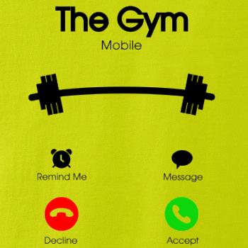 The Gym Mobile The Gym Mobile