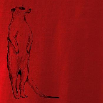 Surikata čierna kresba Surikata čierna kresba