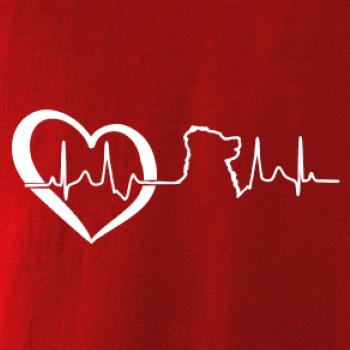 Bernský salašnický pes EKG