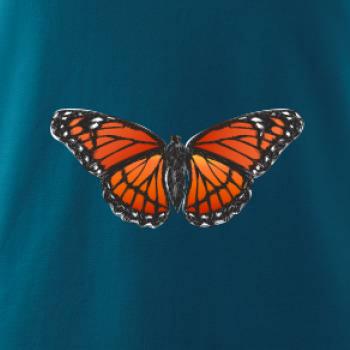 Motýľ Monarcha sťahovavý Motýľ Monarcha sťahovavý