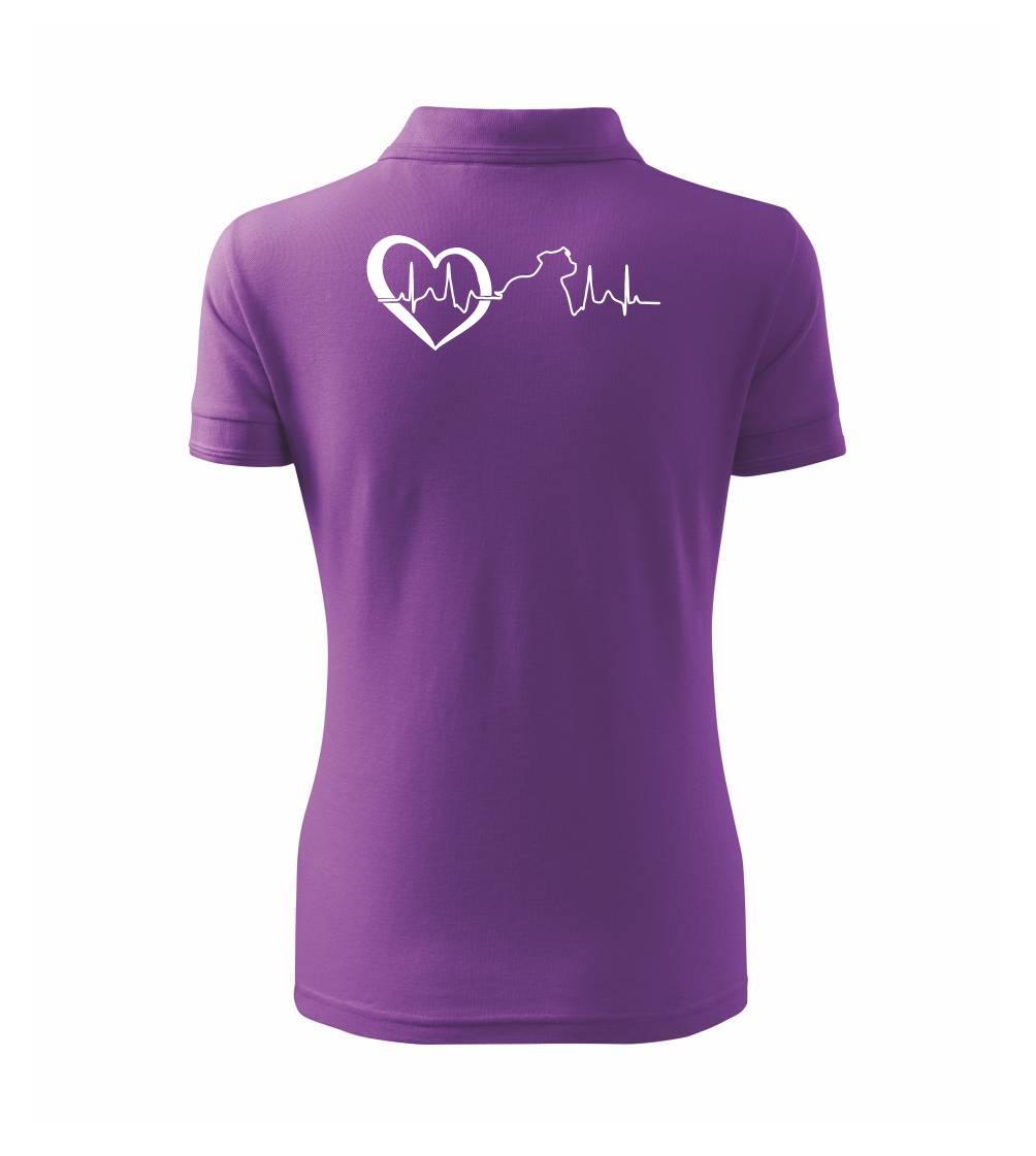 Stafordšírsky bulteriér  EKG Stafordšírsky bulteriér  EKG