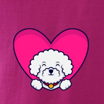 Bišónik zalezený v srdci