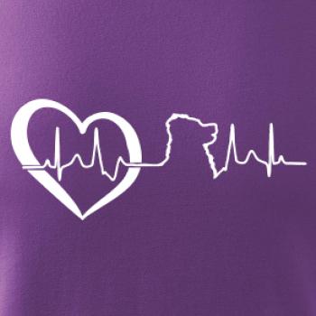 Bernský salašnický pes EKG