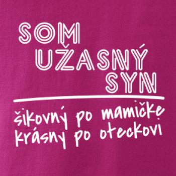 Som úžasný syn