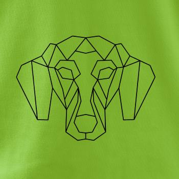 Jazvečík - Geometria 