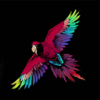 Papagáj kreslený letiaci