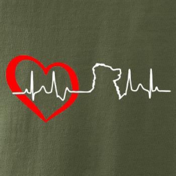 Bernský salašnický pes EKG