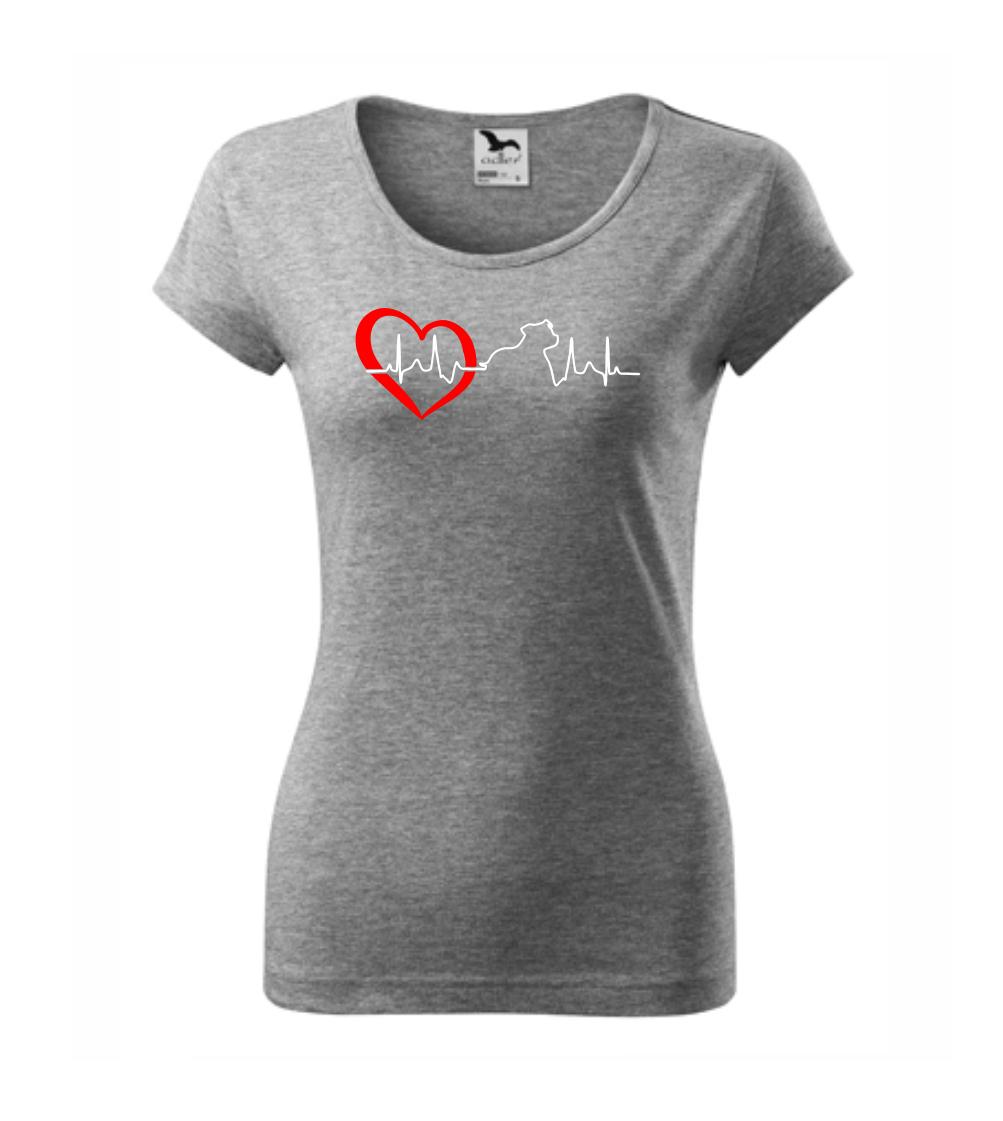 Stafordšírsky bulteriér  EKG Stafordšírsky bulteriér  EKG