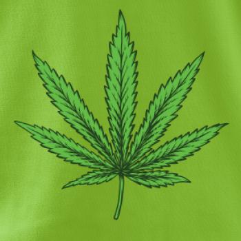 Zelený list Zelený list