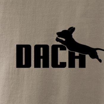 Jazvečík Dach Jazvečík Dach