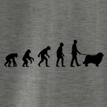 Evolúcia pes Novofundlandský pes (muž-žena)