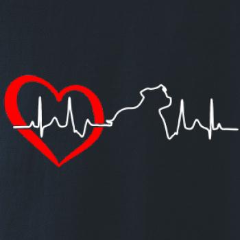 Stafordšírsky bulteriér ‎ EKG