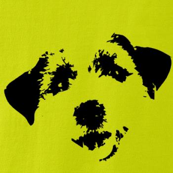 Jack Russell Terriér - hlava