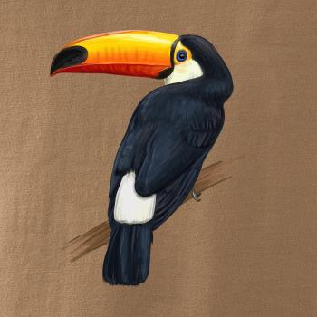 Tukan kreslený Tukan kreslený