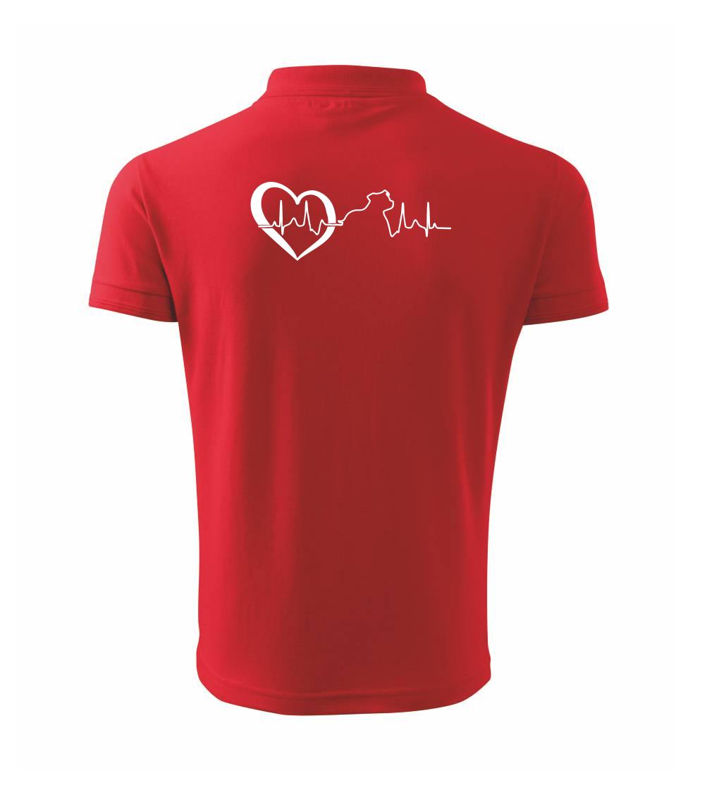 Stafordšírsky bulteriér  EKG Stafordšírsky bulteriér  EKG