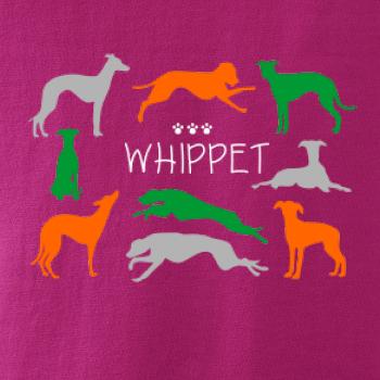 Whippet farebný Whippet farebný