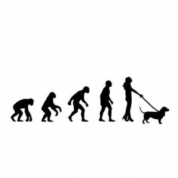 Evolúcia pes baset (muž-žena)