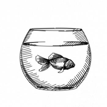 Ceruzkou kreslená rybička v akváriu