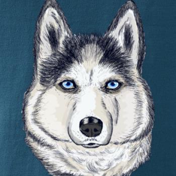 Husky hlava - kreslený Husky hlava - kreslený