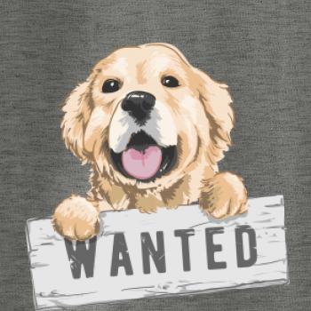 Zlatý retriever - šteniatko wanted Zlatý retriever - šteniatko wanted