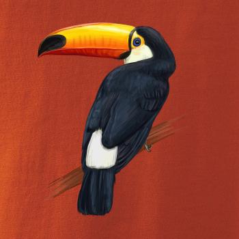 Tukan kreslený Tukan kreslený