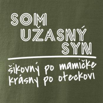 Som úžasný syn