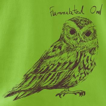 Výrček ohnivý  flammulated owl