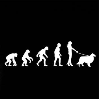 Evolúcia pes Šeltia (muž-žena)